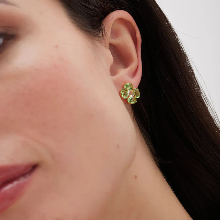 Pendientes Flor Victoria Cruz