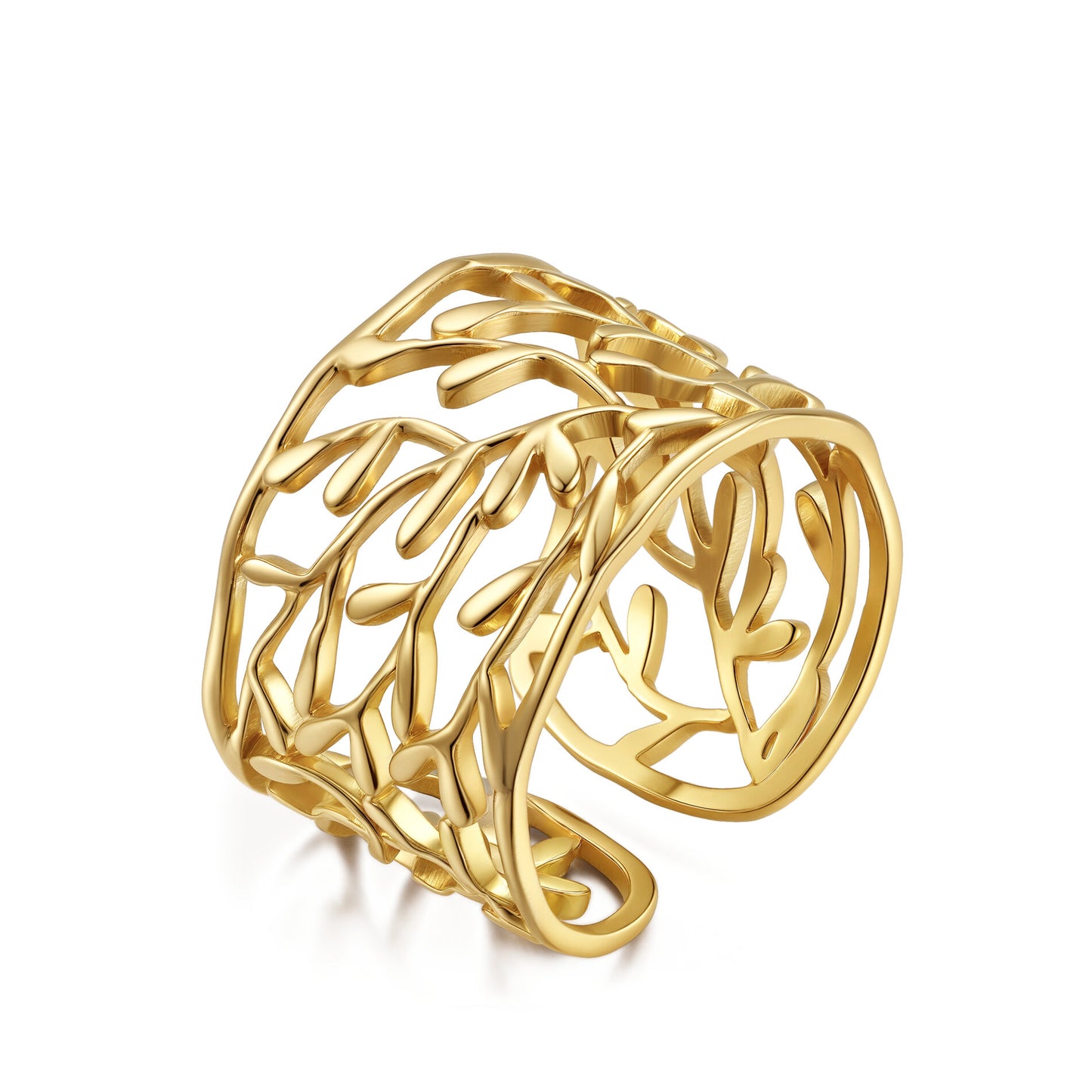 Anillo Ramas