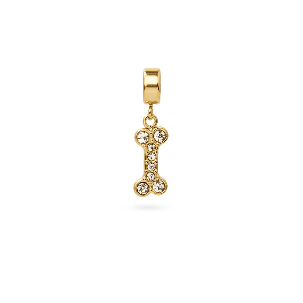 Charm hueso