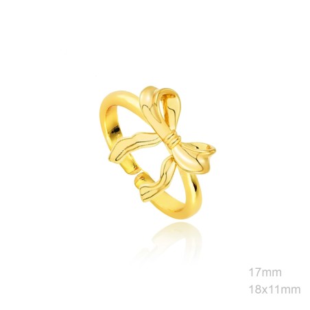 Anillo lazo