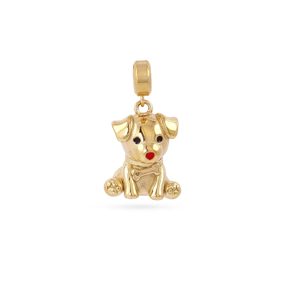 Charm perro