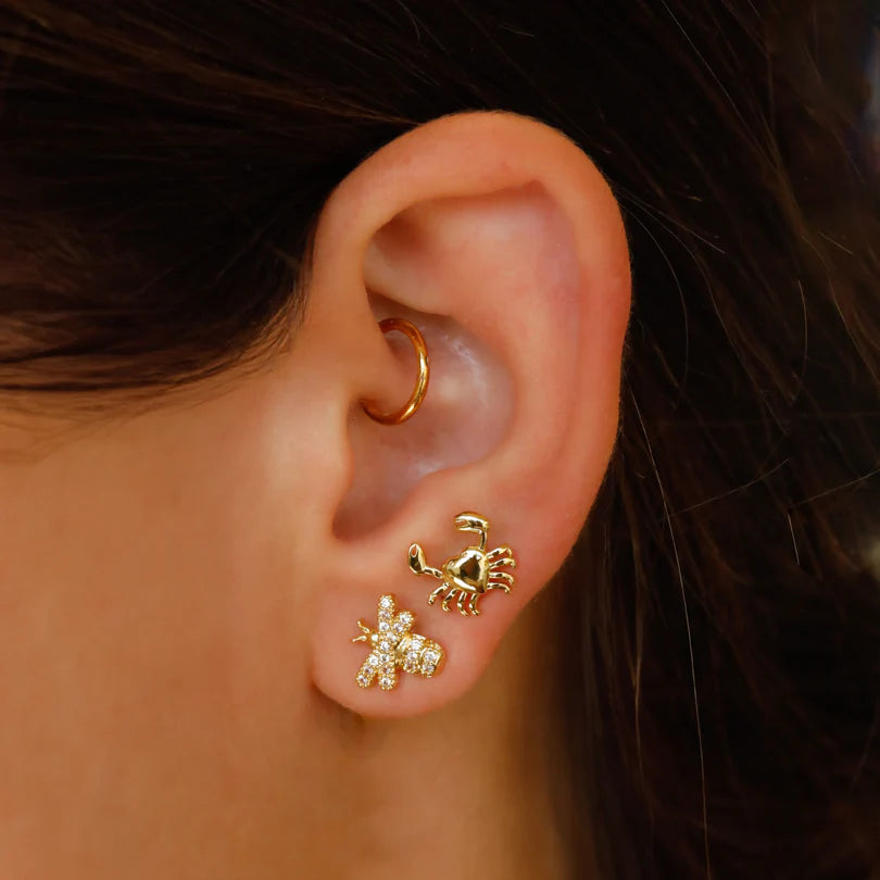 Piercing Cangrejo Corazón